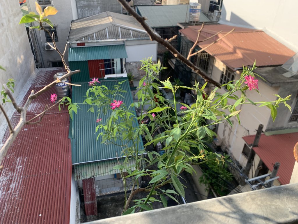 IMG_1888.jpeg
