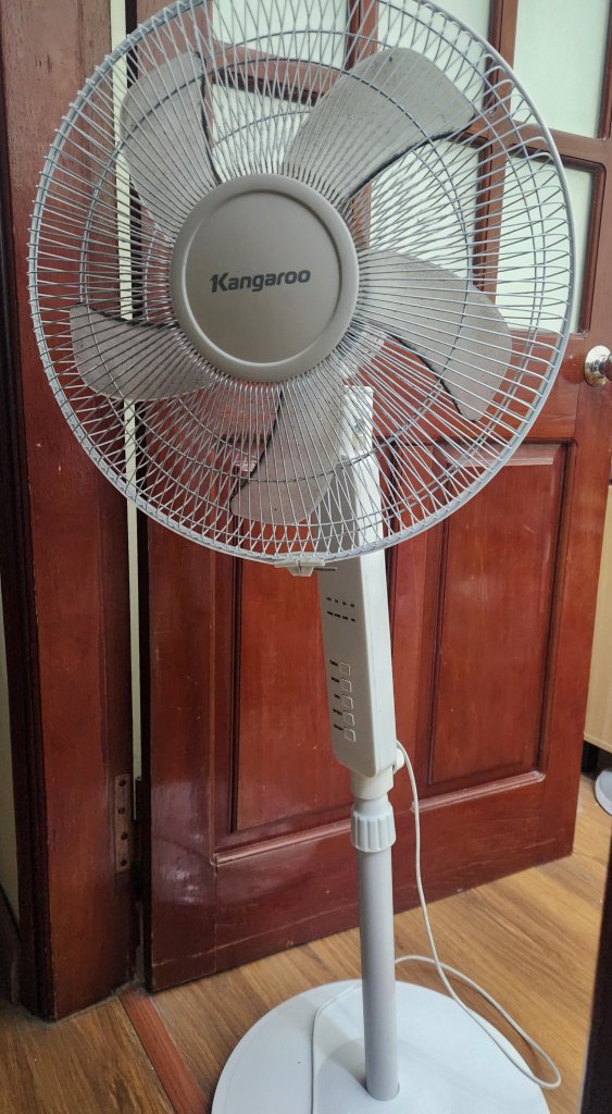 1000022522.jpg