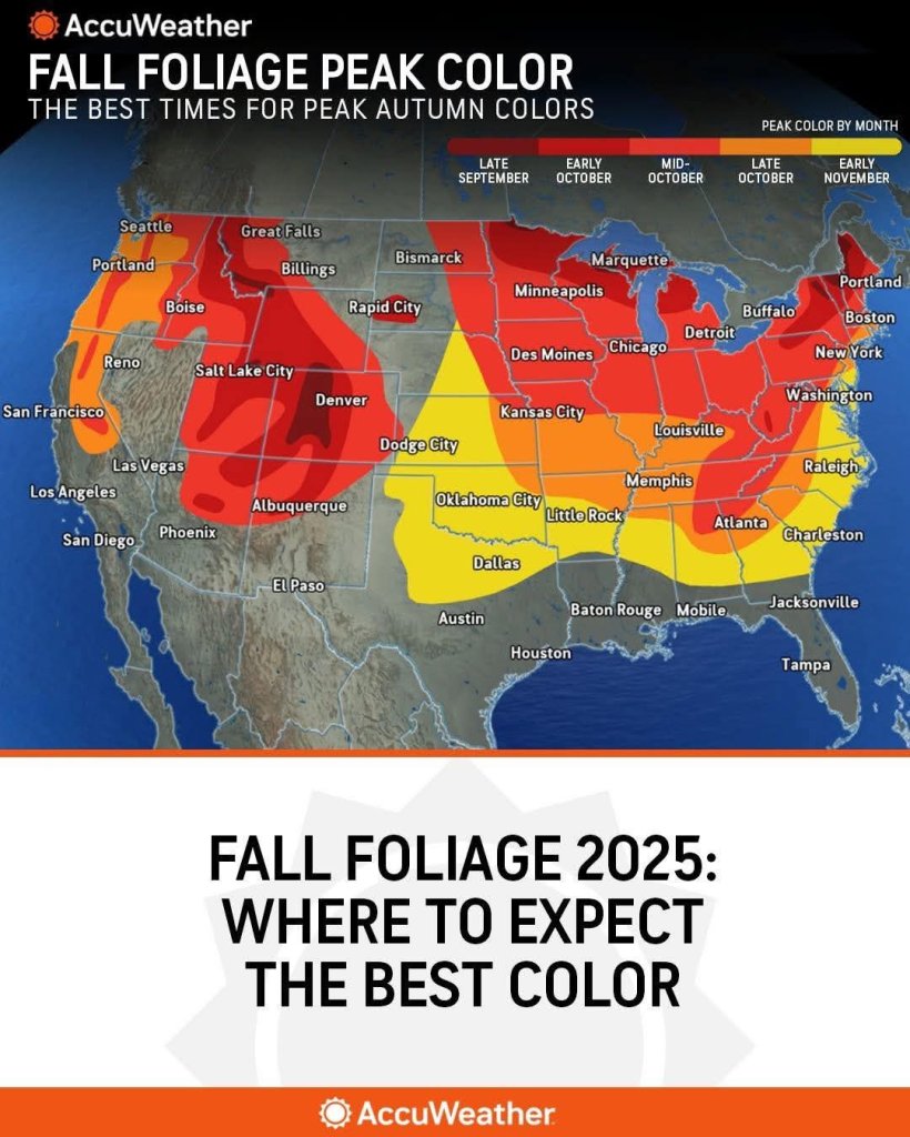 1000009468.jpg