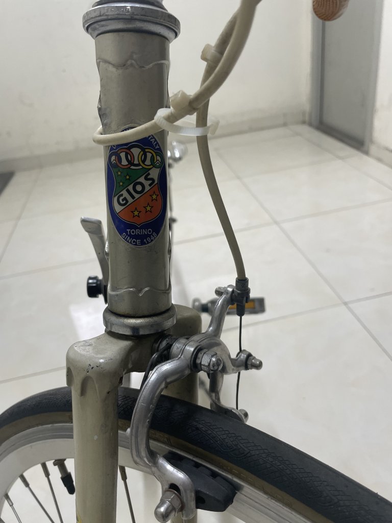 IMG_1924.jpeg