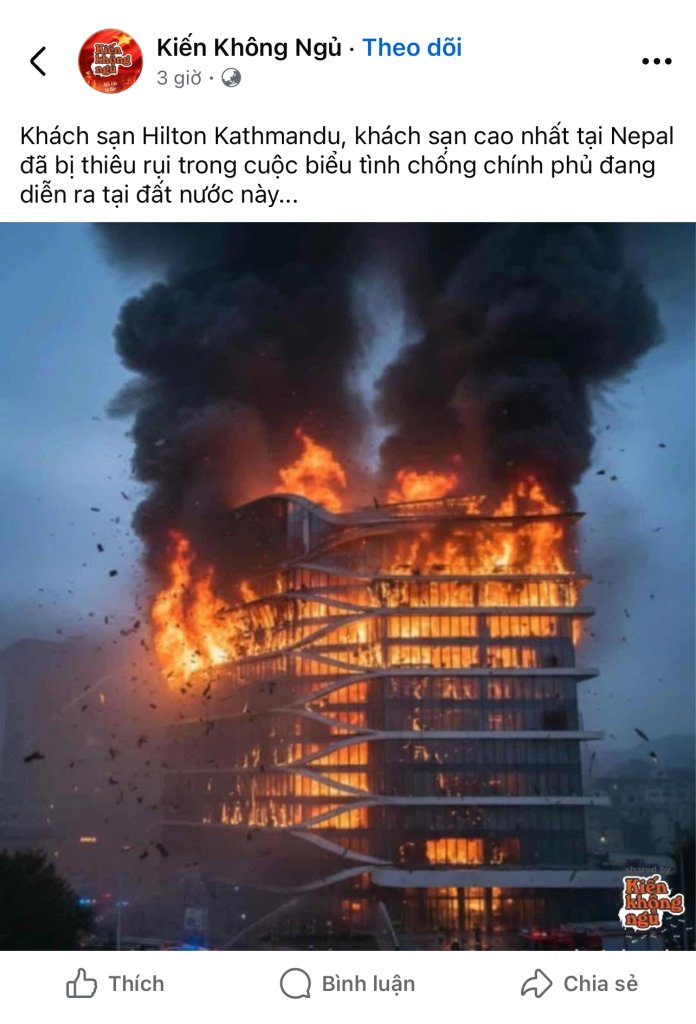 IMG_9252.jpeg