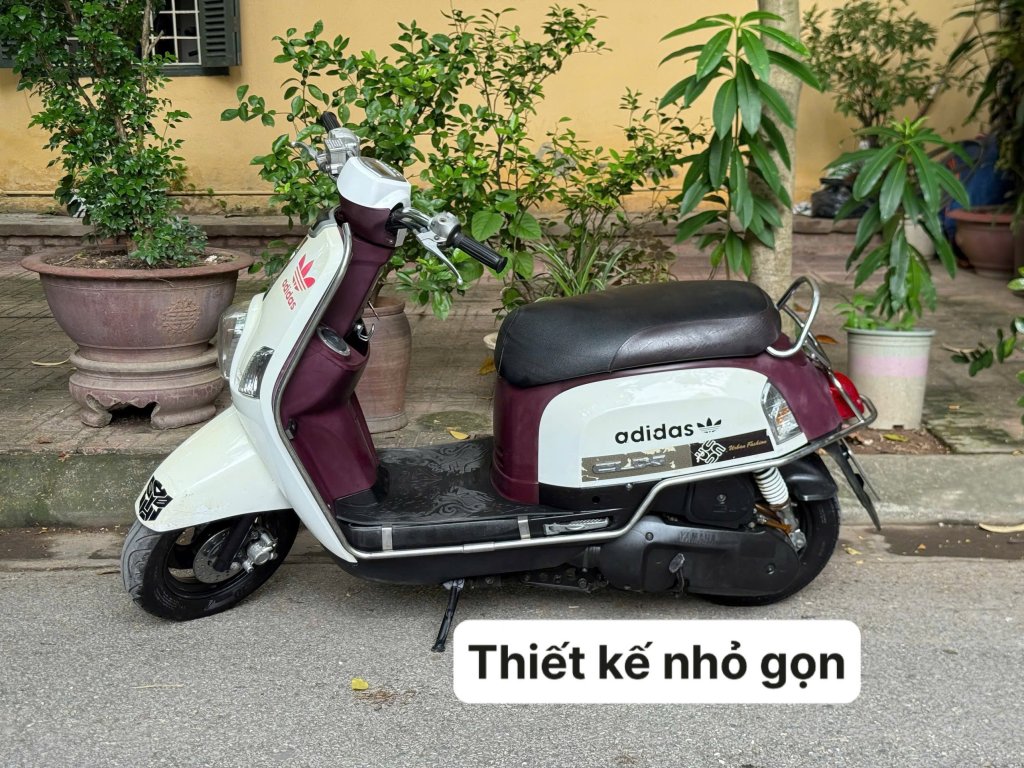 IMG_6379.jpeg