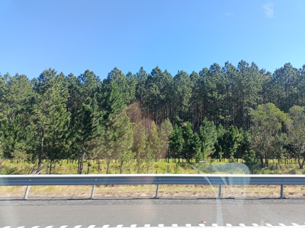 IMG20250805111743.jpg