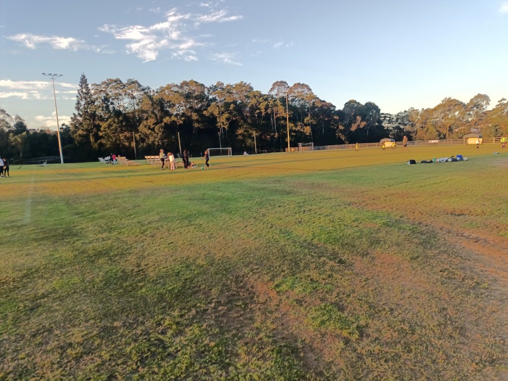 IMG20250805170001.jpg