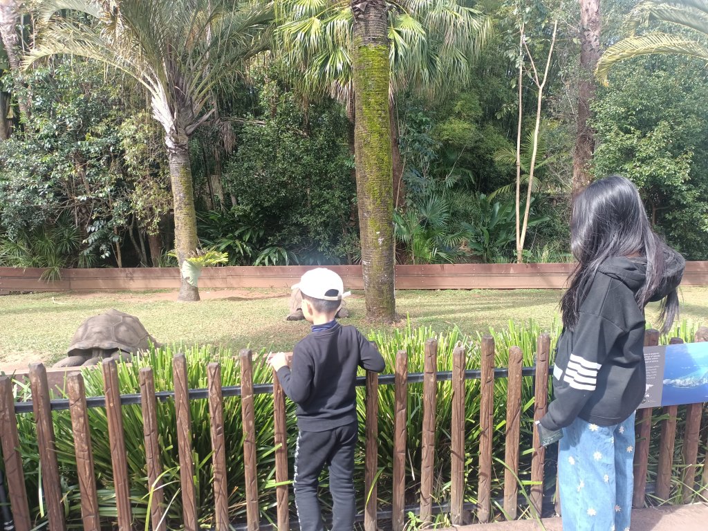 IMG20250810122428.jpg