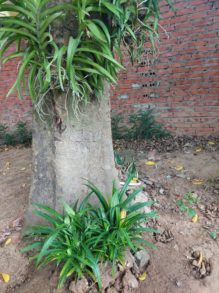 20250914_093420.jpg