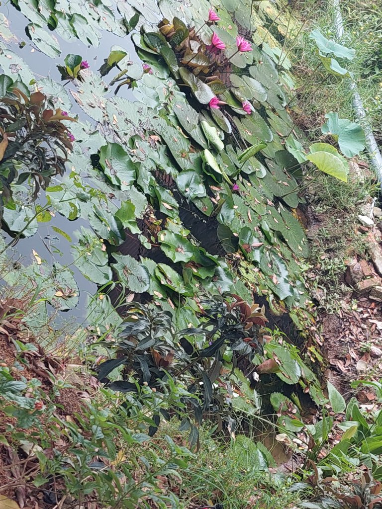 1000010654.jpg