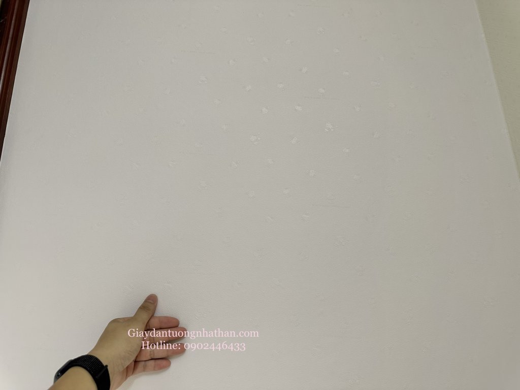 F8A5345F-C43C-4D30-A97F-6DA8C302F4FD.jpeg
