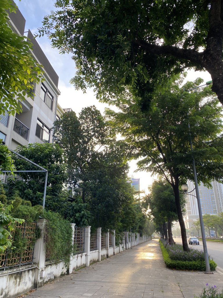 IMG_6375.jpeg