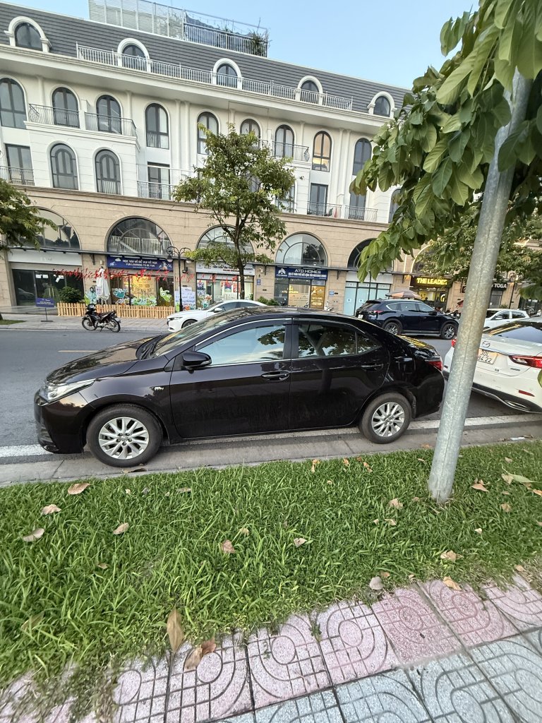 IMG_7375.jpeg