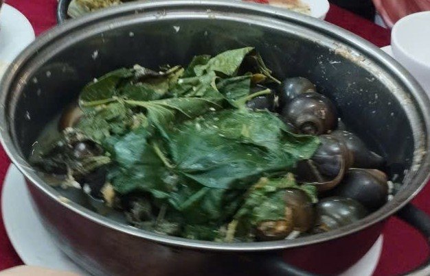 IMG_UPLOAD_20250916_201919.jpg