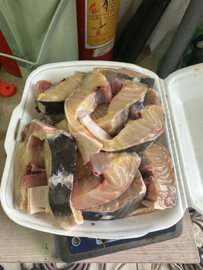 IMG_5090.jpeg