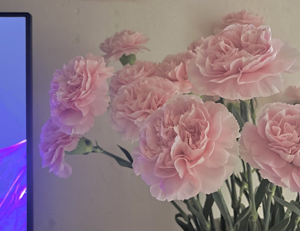 IMG_3575.jpeg
