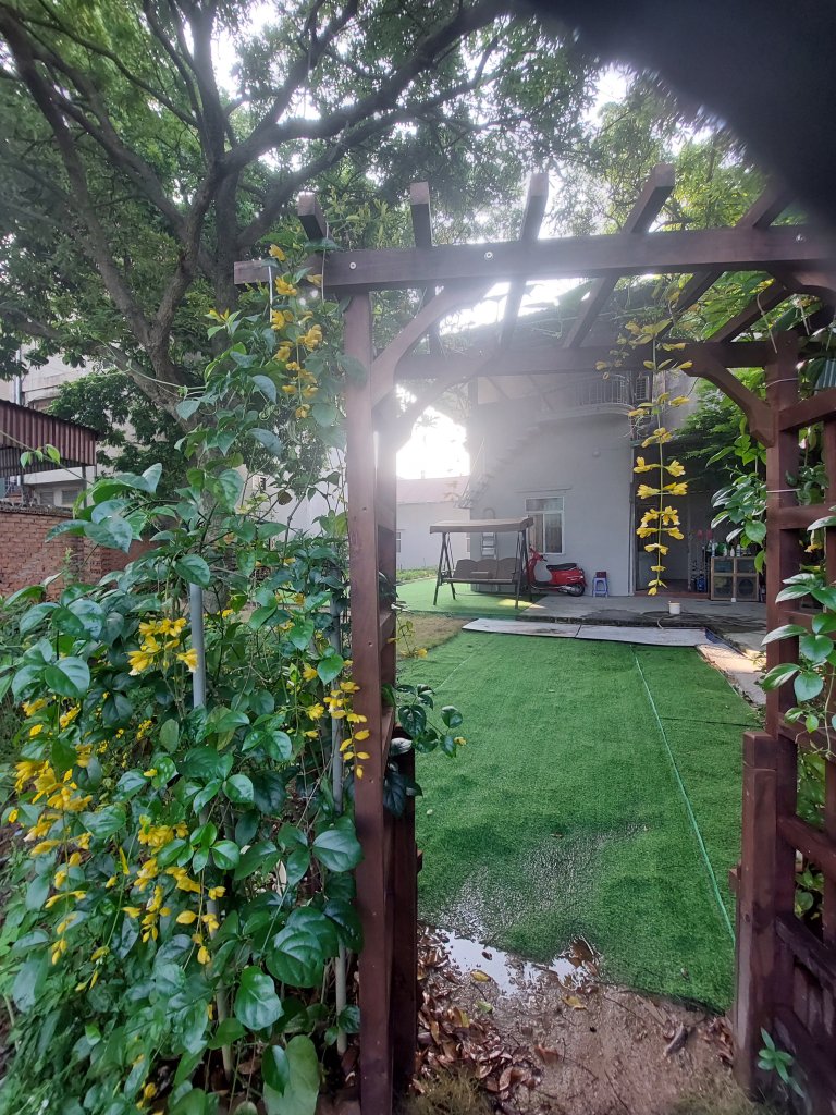 20250920_074109.jpg