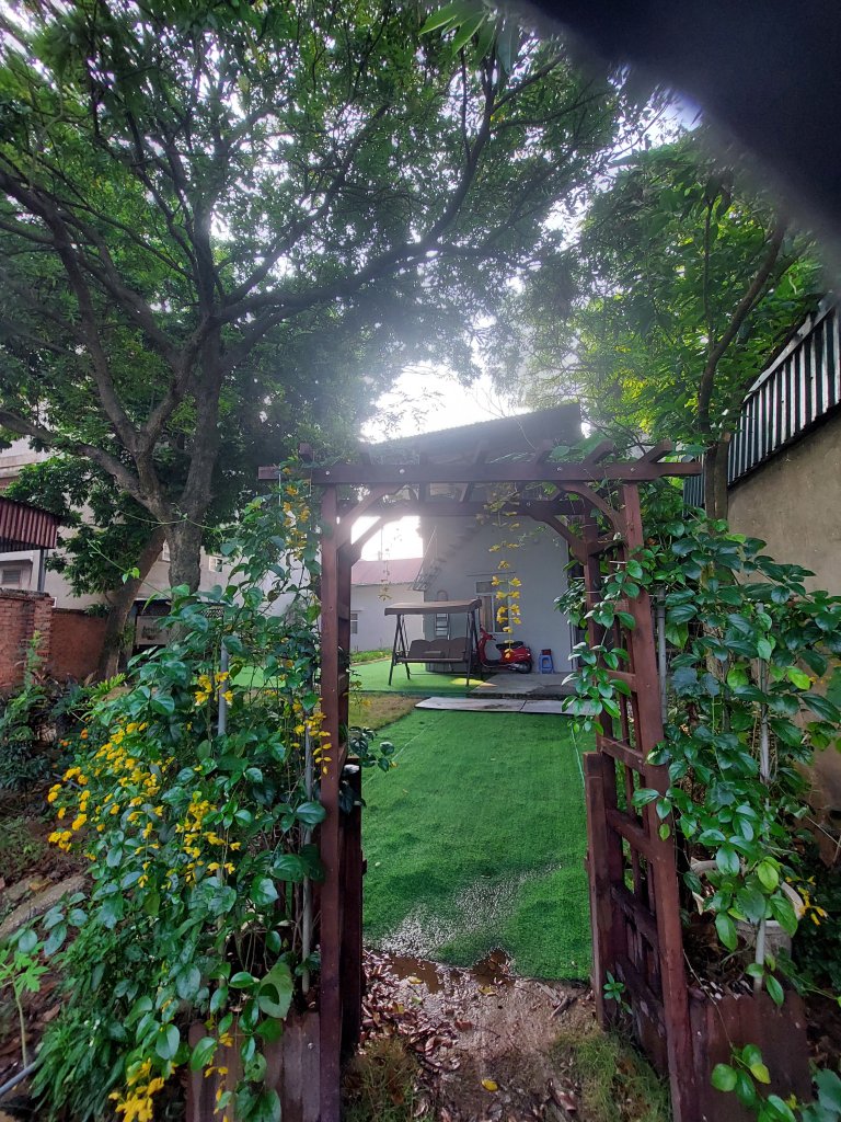 20250920_074101.jpg