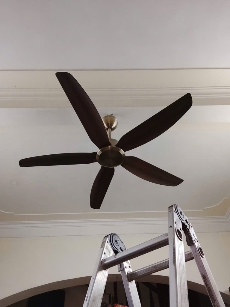 549634288_1986367725520614_5461793302790712283_n (1).jpg