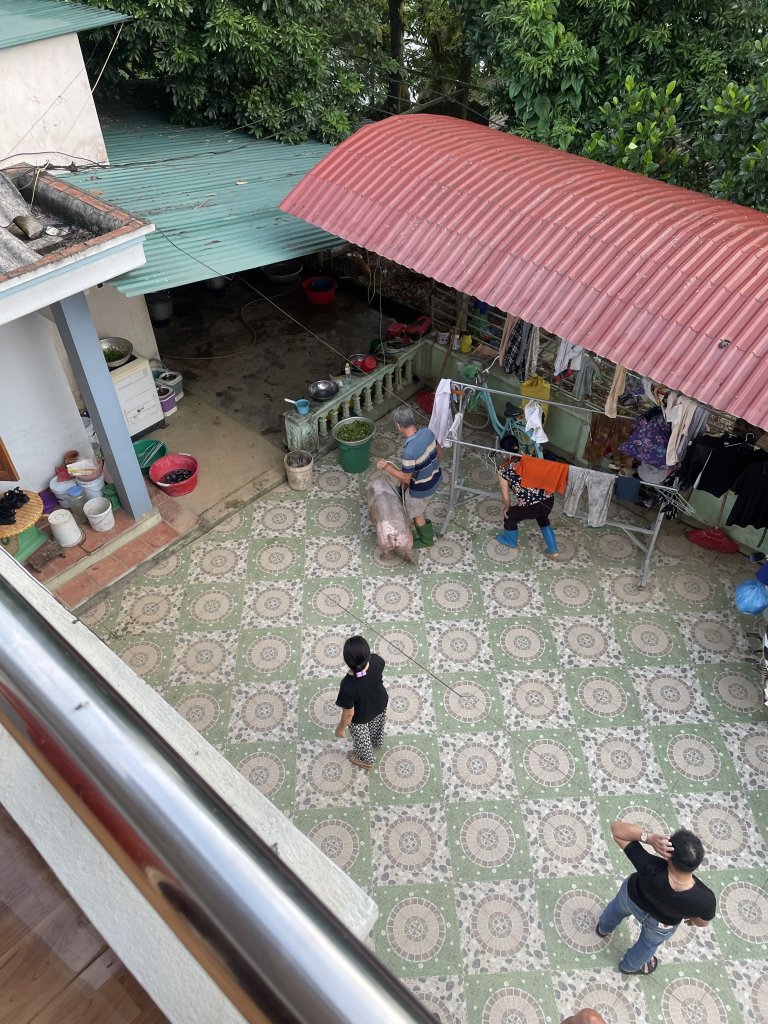 IMG_6336.jpeg