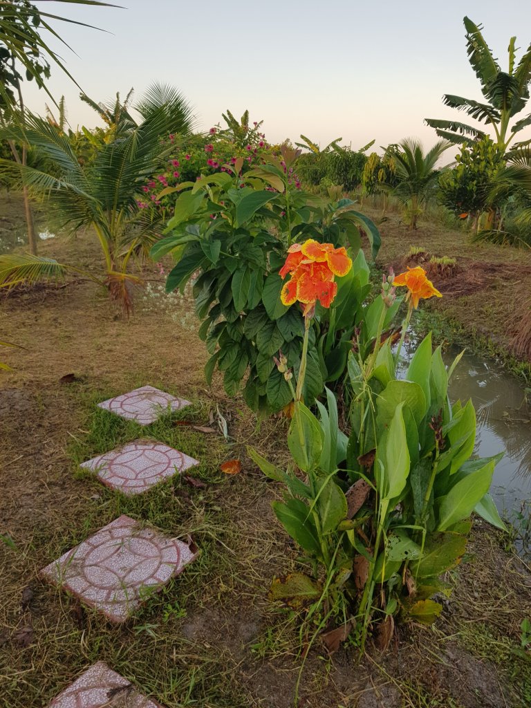20250921_055731.jpg