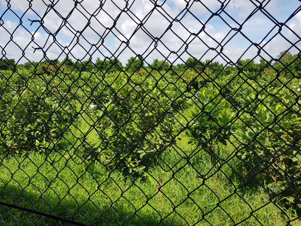 20250921_095547.jpg