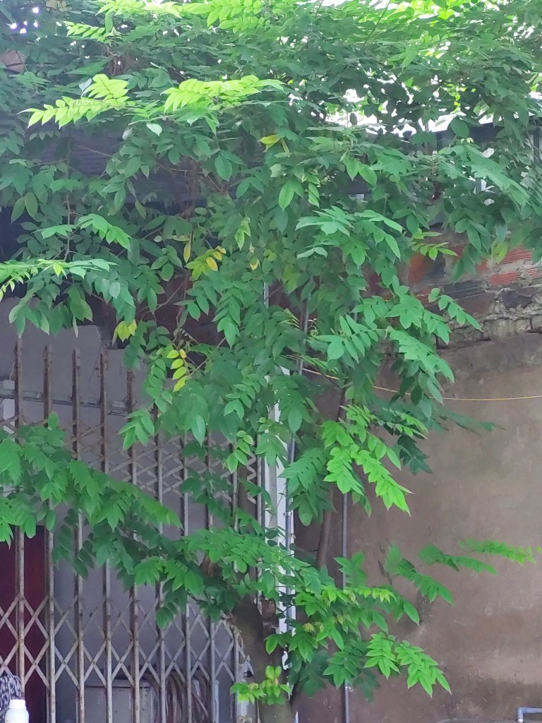 1000010820.jpg