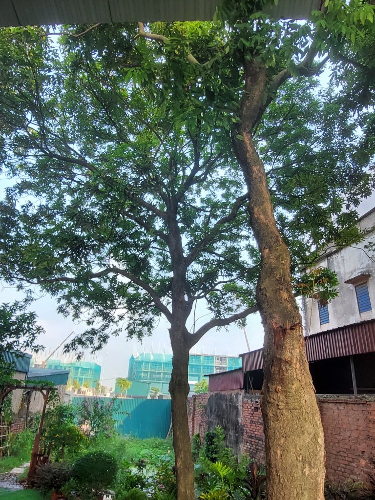 20250920_074904.jpg