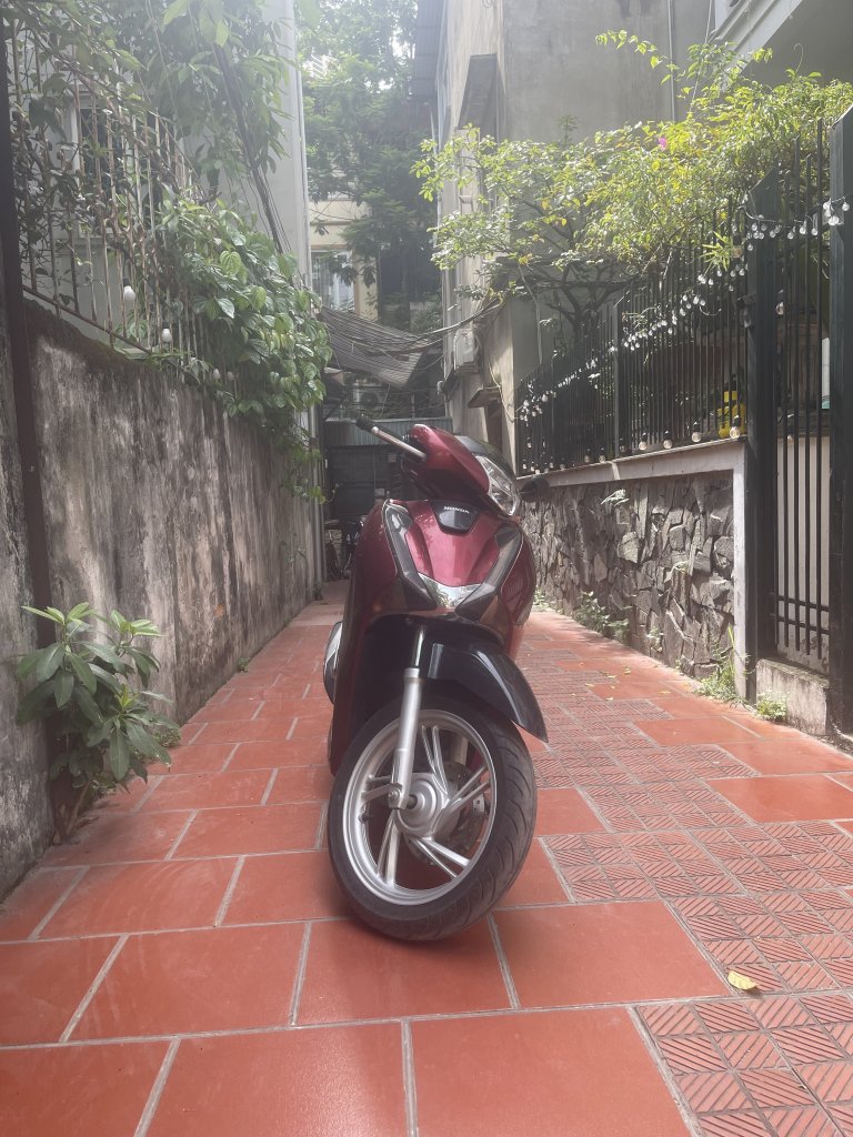 IMG_4575.jpeg