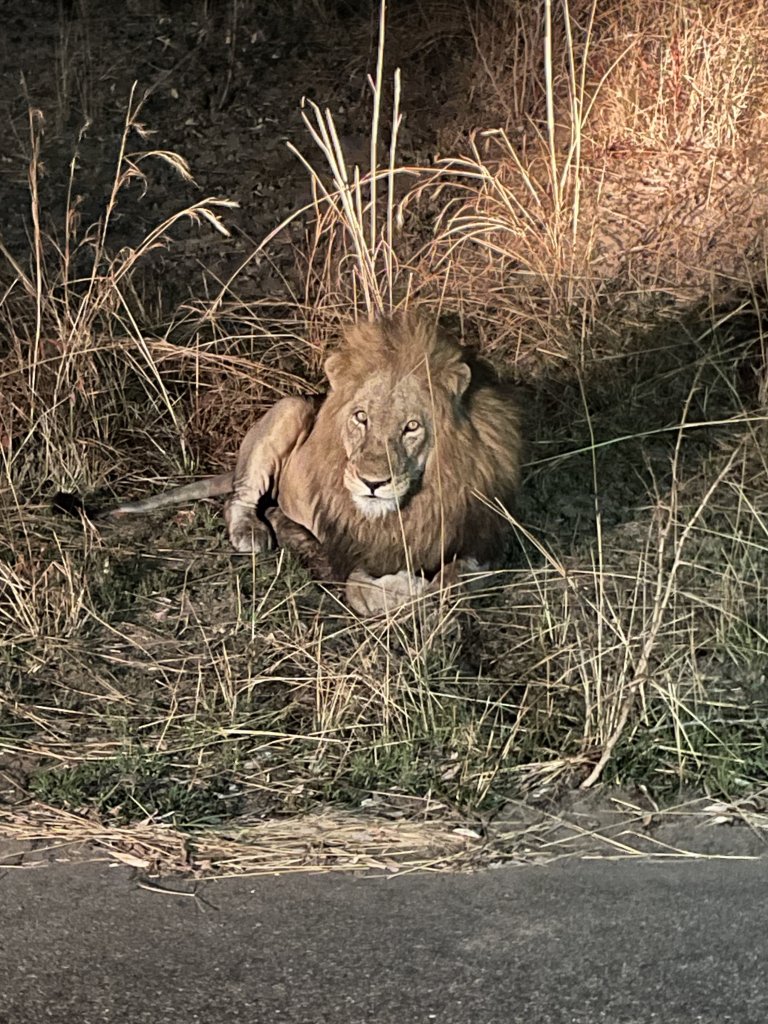 IMG_1076.jpeg