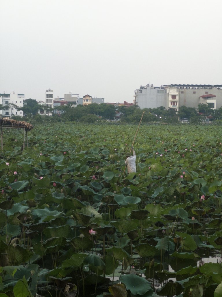 ccdr 2025-07-07 182711.128.JPG