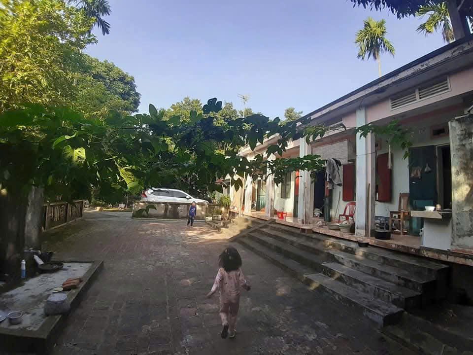 z7043905034538_350cdaed4d55390cab1106140ad07530.jpg