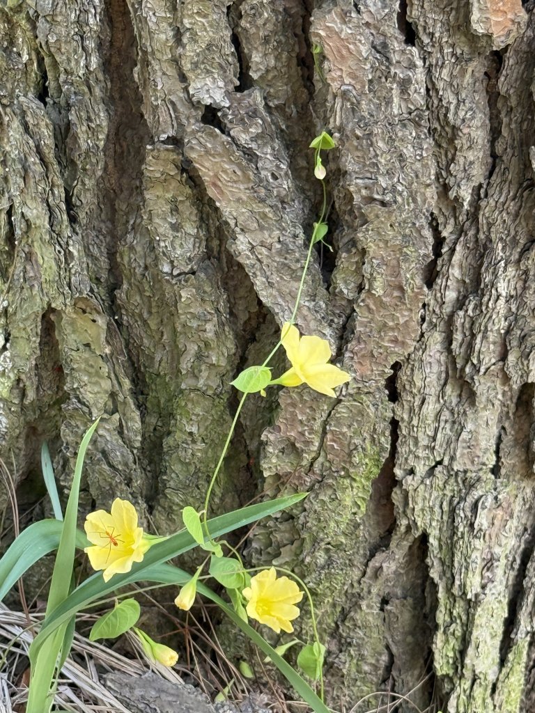 IMG_8626.jpeg