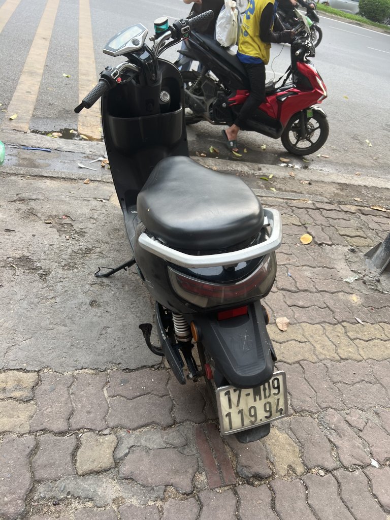 IMG_2126.jpeg