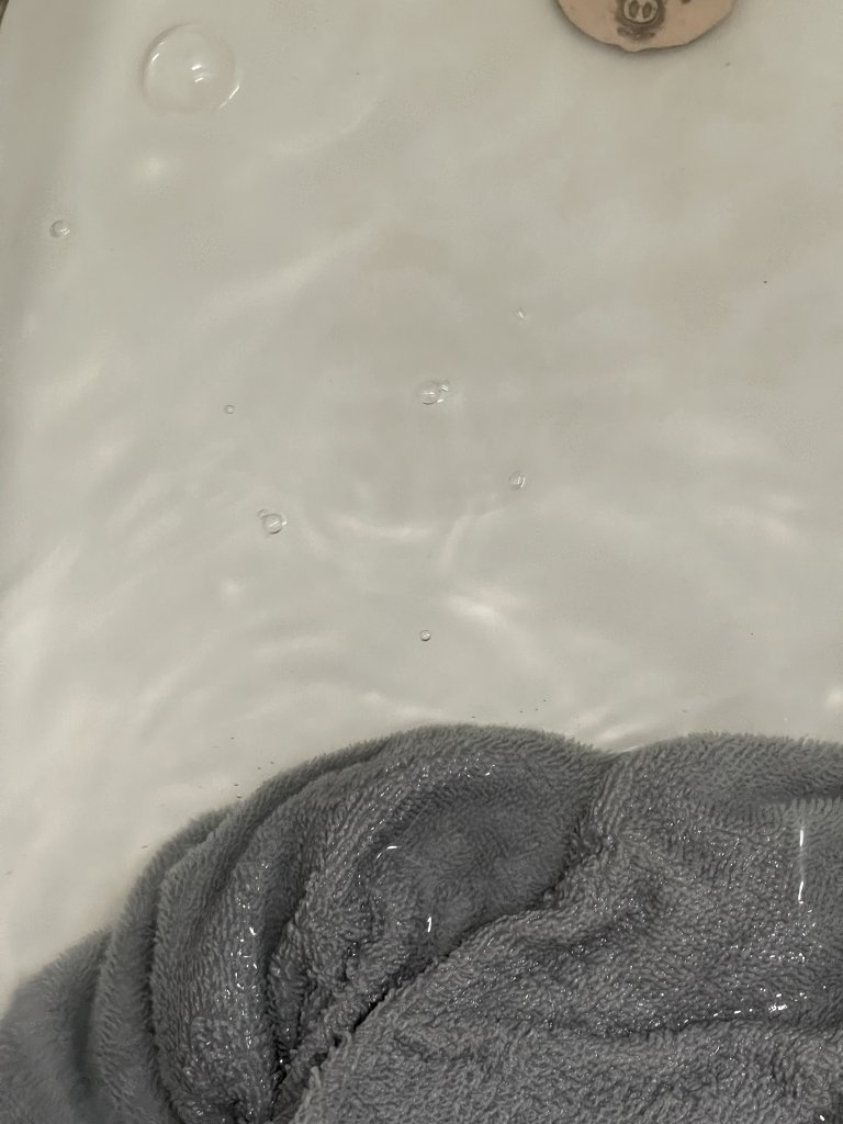 IMG_0050.jpeg