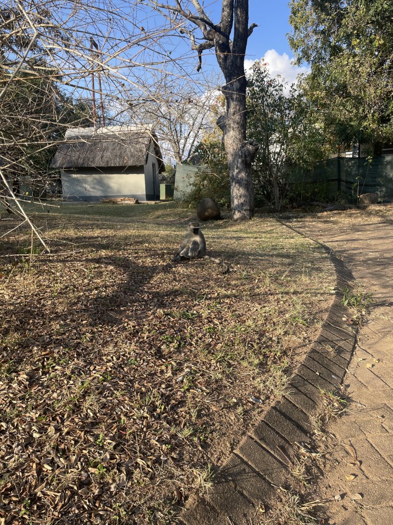 IMG_1012.jpeg