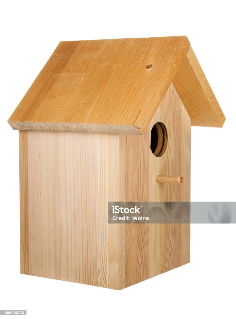 istockphoto-656980210-2048x2048.jpg
