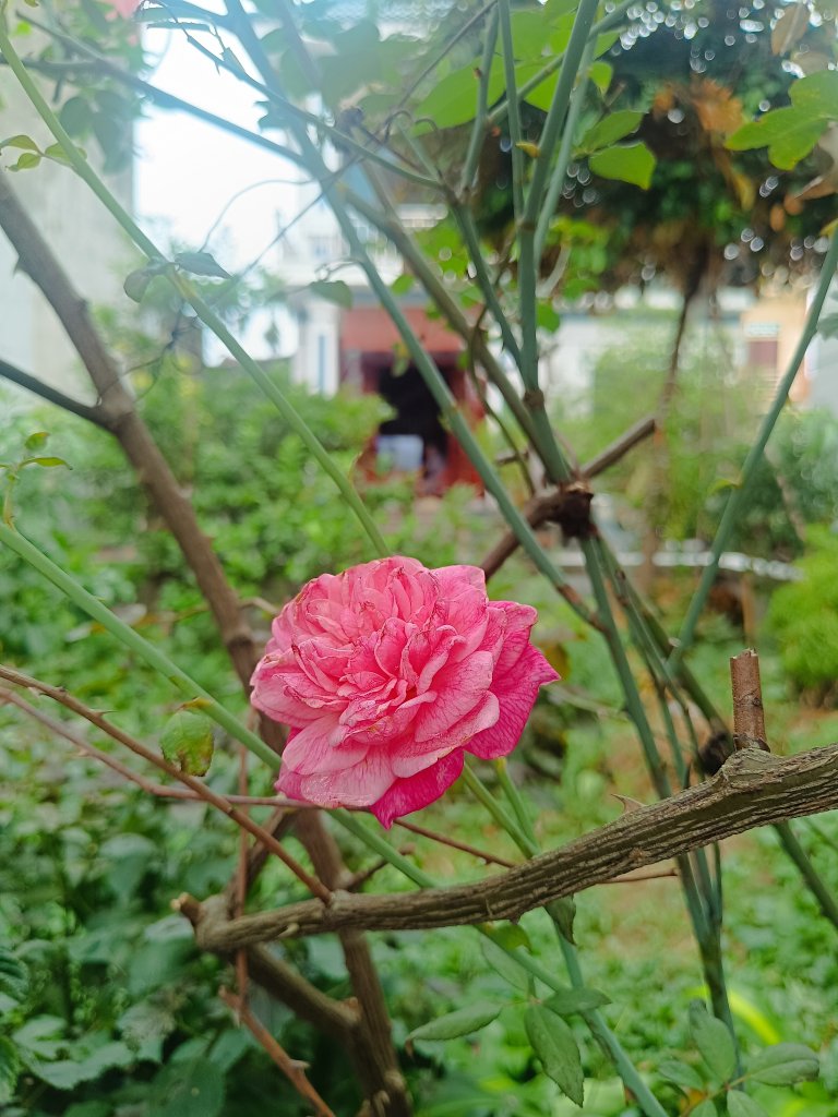 IMG_20250925_160235.jpg