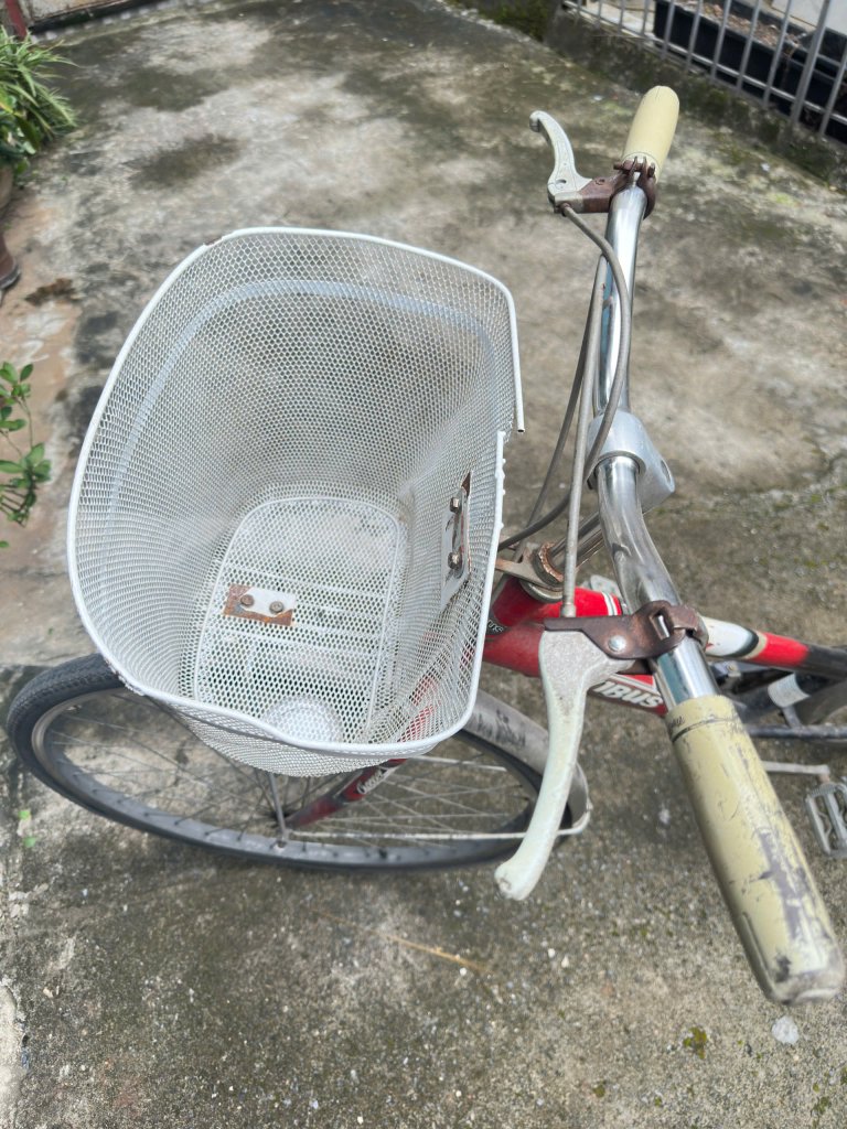 z7052419741050_6fda4cfee9dfab9211e5017d60099a49.jpg