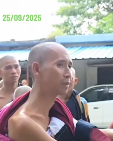 MT.jpg