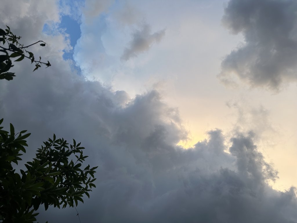 IMG_4266.jpeg