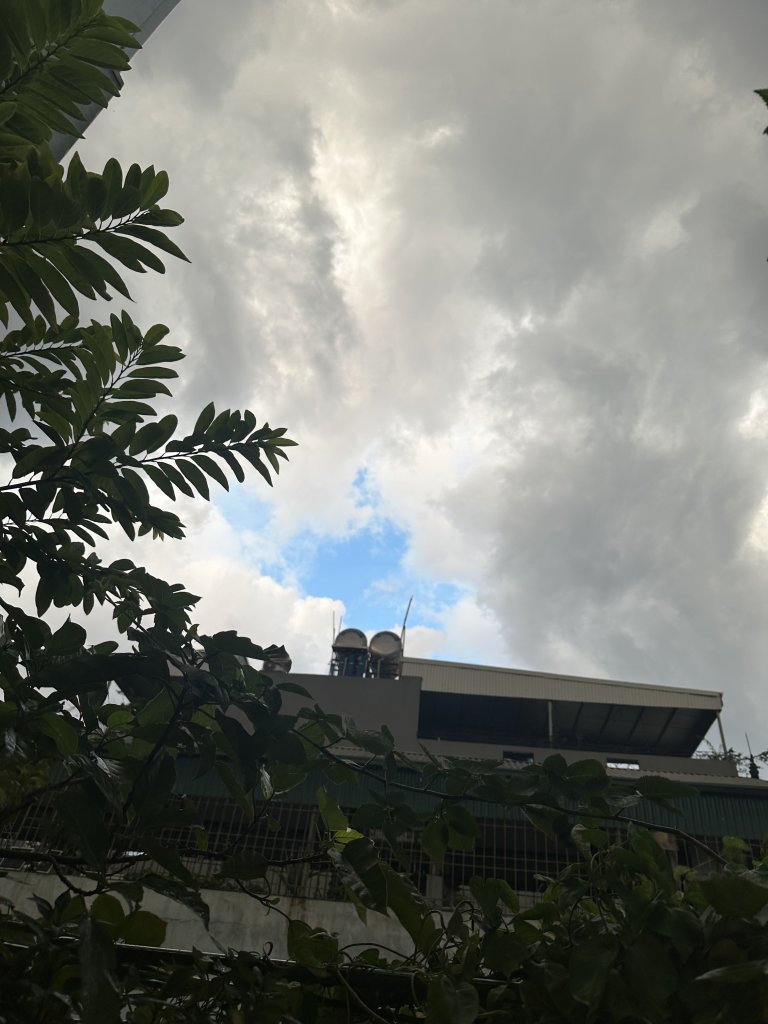 IMG_4258.jpeg
