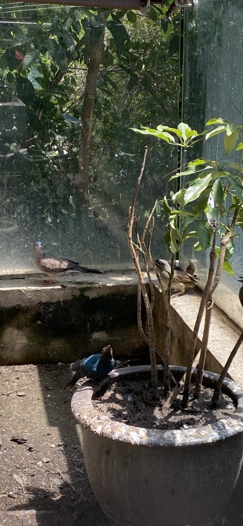 IMG_8002.jpeg