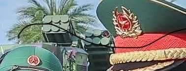 IMG_3236.jpeg