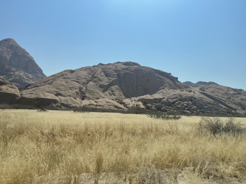 IMG_6388.jpeg