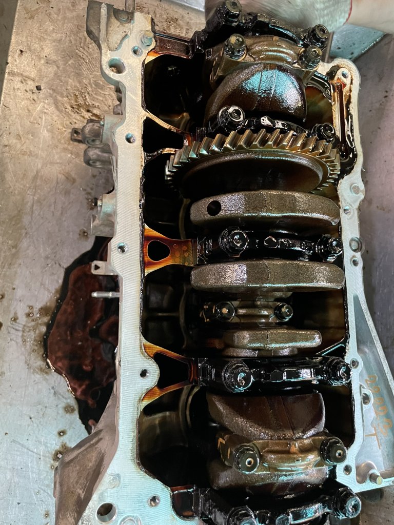 z5286511537744_d22629e4bdc9f1ec68c34002e6b52b95.jpg