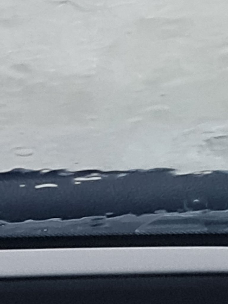 20250930_154111.jpg