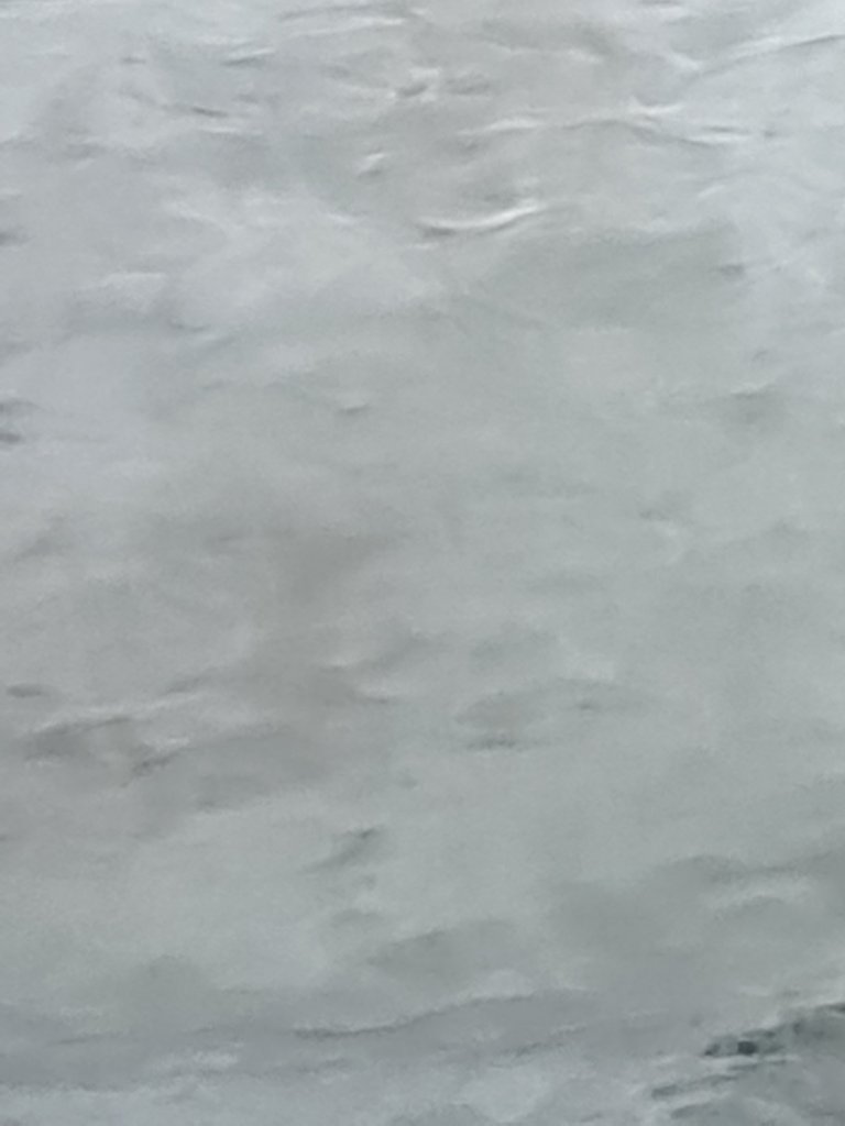20250930_154109.jpg