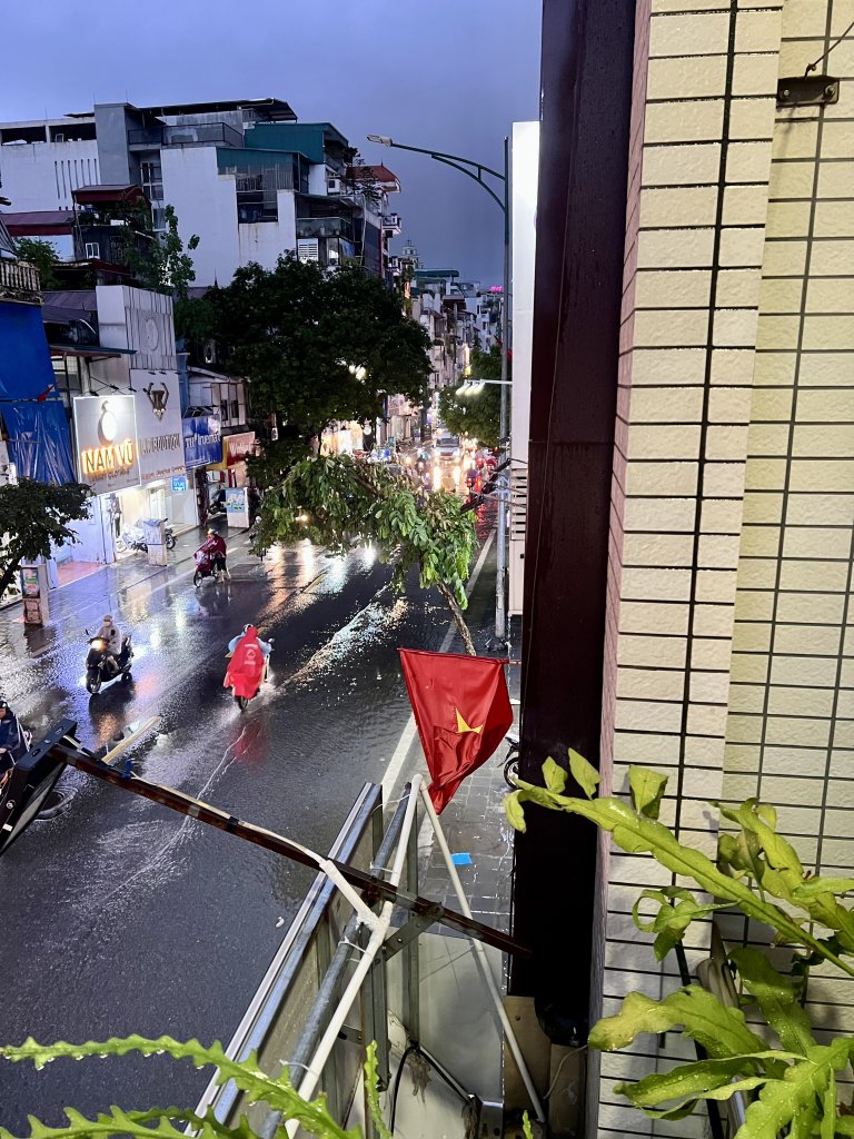 IMG_1303.jpeg