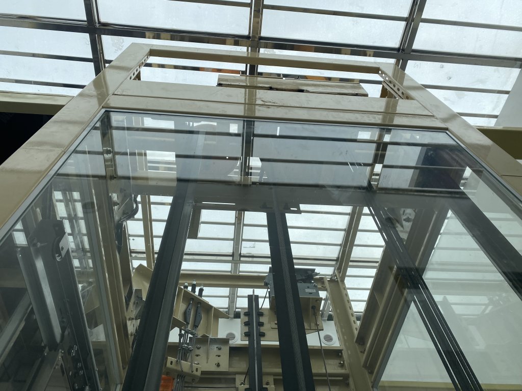 IMG_8154.jpeg