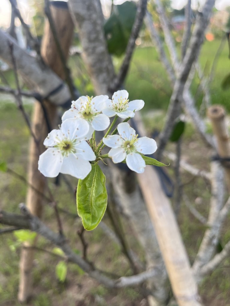 IMG_4128.jpeg