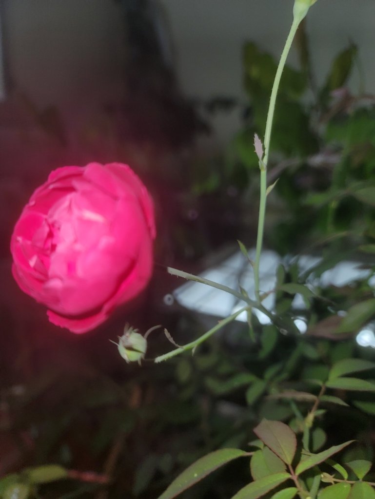 20250603_223314.jpg
