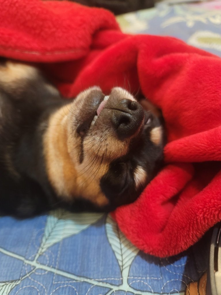 20240618_013023.jpg